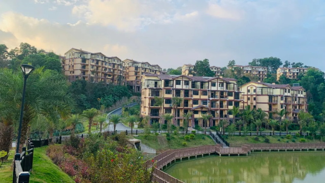 住進陽光雨林，揭秘自然療愈力