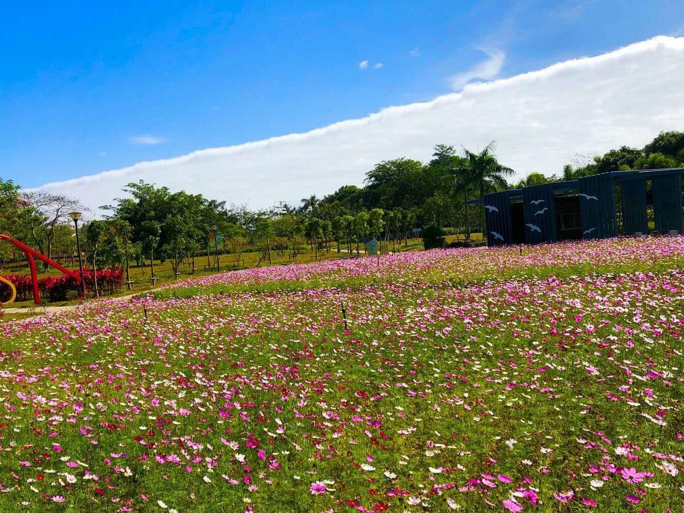 南茶御景