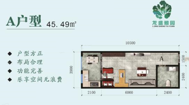 龍盛雅園A戶型 開間 45.49㎡