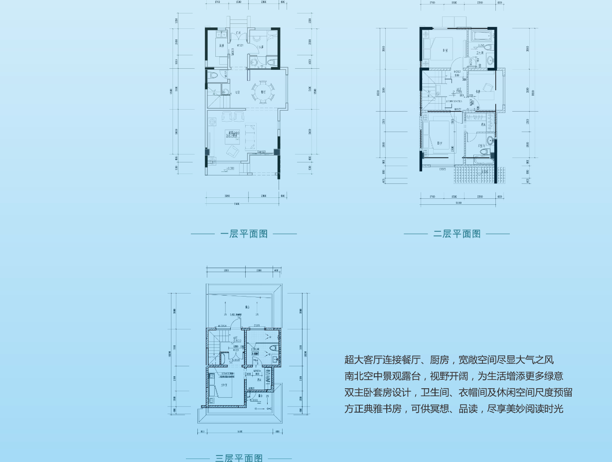 勐巴拉A戶型 4室4廳5衛(wèi)1廚 153㎡