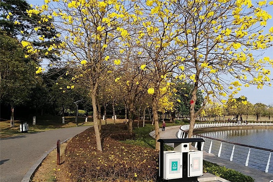 周邊配套-金山湖公園.jpg