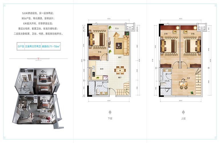 椰林小筑椰林小筑 D戶型